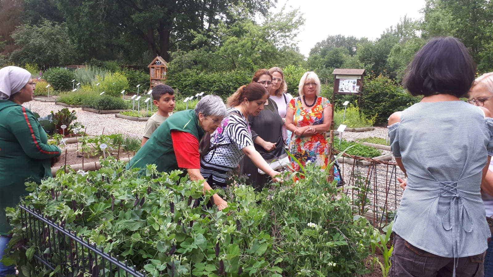 Interessierte Frauen beugen sich über ein Kräuterbeet