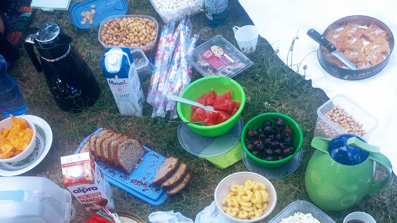 Speisen und Getränke, für das Piknik auf der Wiese bereitgestellt